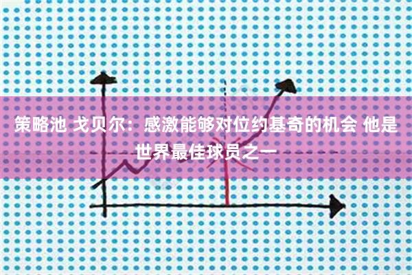 策略池 戈贝尔：感激能够对位约基奇的机会 他是世界最佳球员之一