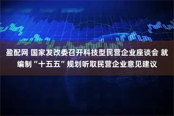 盈配网 国家发改委召开科技型民营企业座谈会 就编制“十五五”规划听取民营企业意见建议
