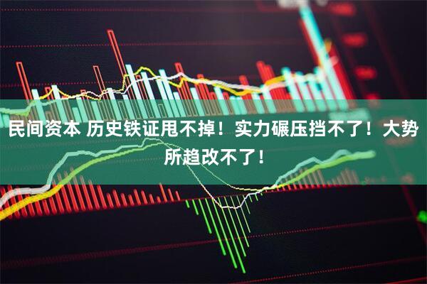 民间资本 历史铁证甩不掉！实力碾压挡不了！大势所趋改不了！