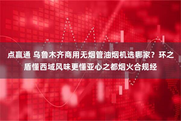 点赢通 乌鲁木齐商用无烟管油烟机选哪家？环之盾懂西域风味更懂亚心之都烟火合规经