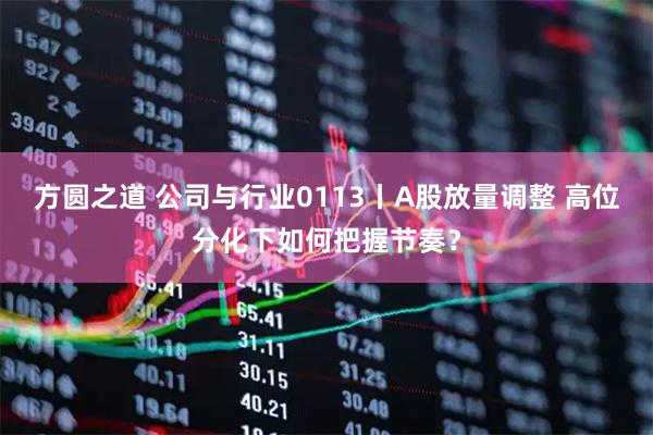 方圆之道 公司与行业0113丨A股放量调整 高位分化下如何把握节奏？